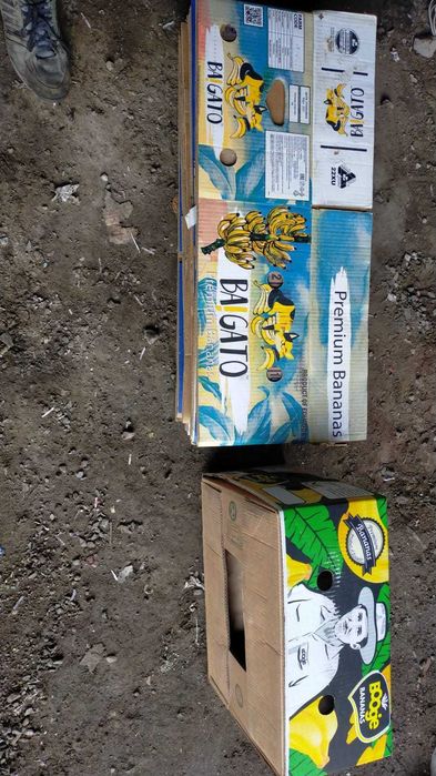 продам банановые коробки