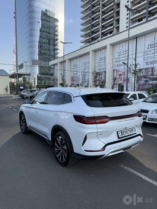 Byd chempion 2025