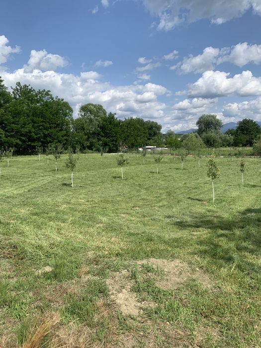 Hala industriala/comerciala in suprafata de 370mp si teren 5000mp.