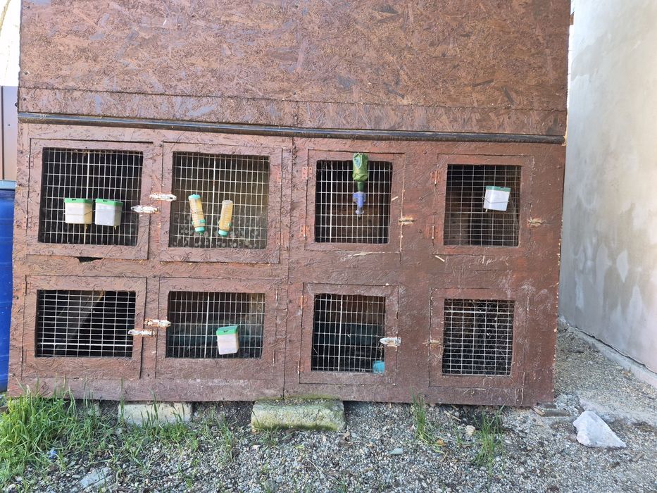 Vând cușcă animale