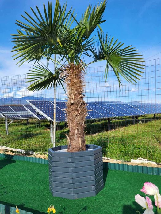 Дървени кашпи за цветя