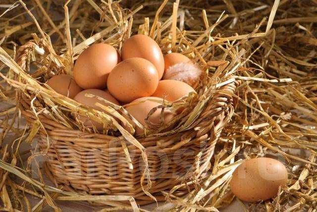 Домашние куриные яйца (тухум) — свежие, натуральные