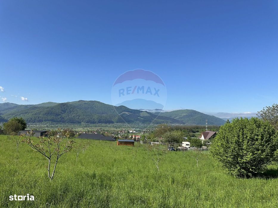 Teren Bistrita / Plopusor