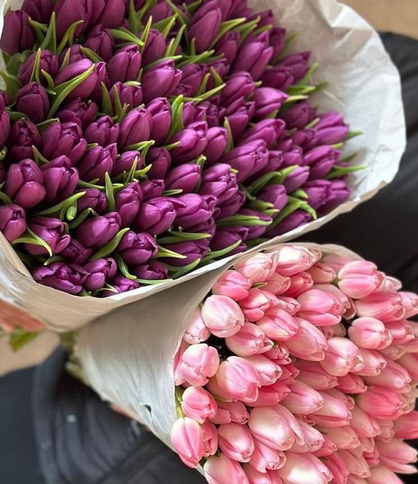 Тюльпаны крупный бутон