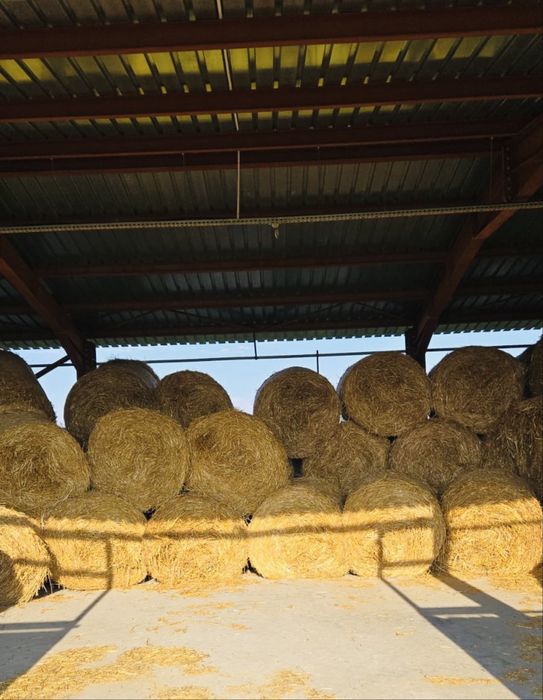 Vand Baloti orz si pai 1,2x1,5 dimensiune