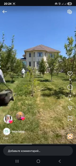 Газон орамыз. Шымкент