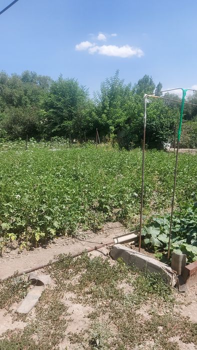 Продам отдельно стоящий дом