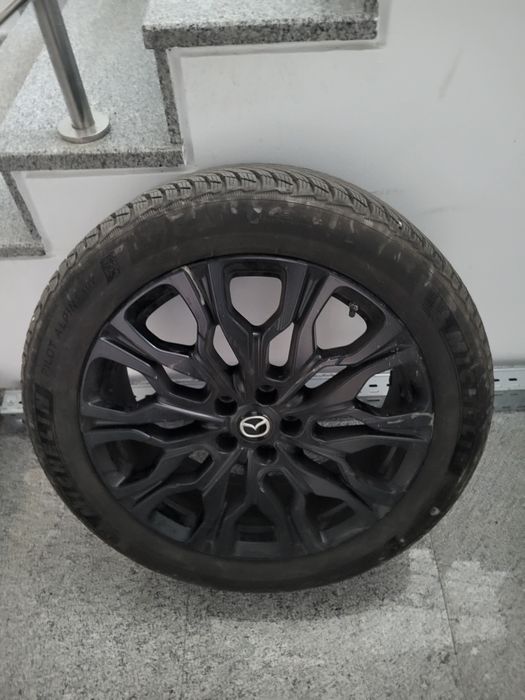 Cauciucuri de iarna Michelin