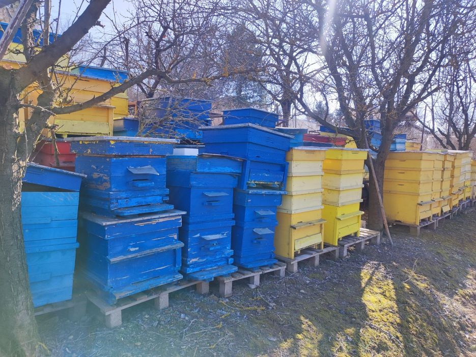 Пчелни кошери дадан блат 12рамкови