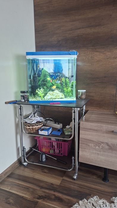 Аквариум за рибки оборудван!