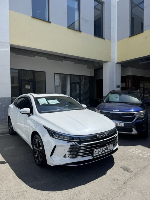 BYD chazor 120km
