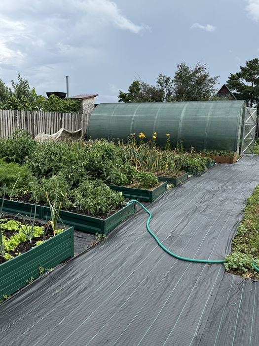 Продам дачу общество Вишенка / Гудок