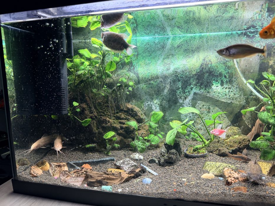 Acvariu 120l Complet