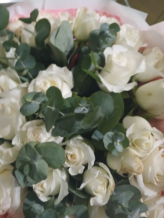 Гул сатылады.Бағасы келісімді