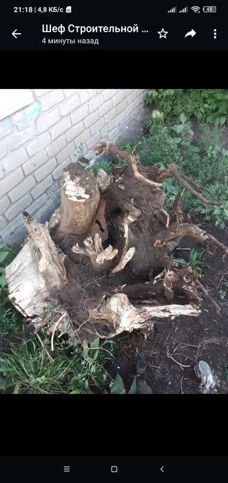 Услуги грузчиков