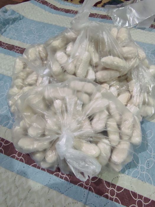 Курт домашний. .