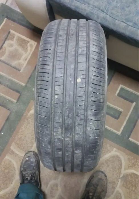 R15 185/55 летние  шины Triangle