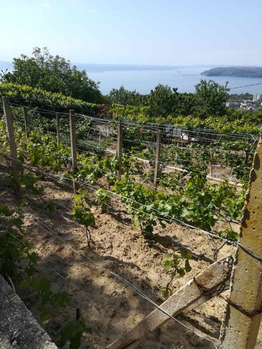 Продава се Къща в Варна, Спортна зала - 220 кв.м за 1591 €/кв.м - Снимка #4