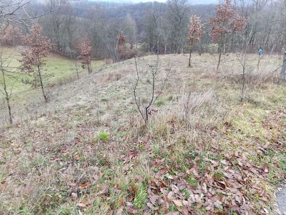 Teren Extravilan 10528mp Luncoiu de Sus, Acces Auto, Sursa Apa, Curent