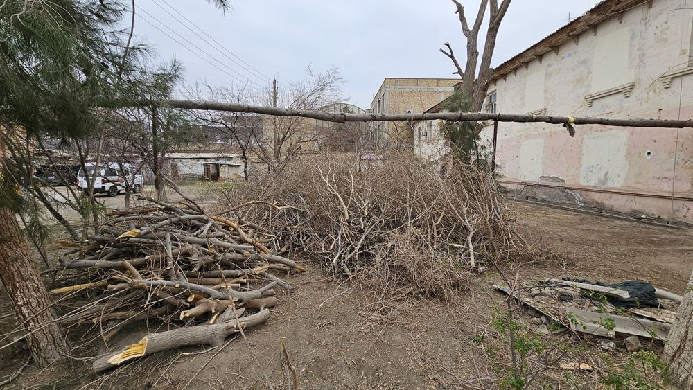 Утин сотилади, хезум, дрова