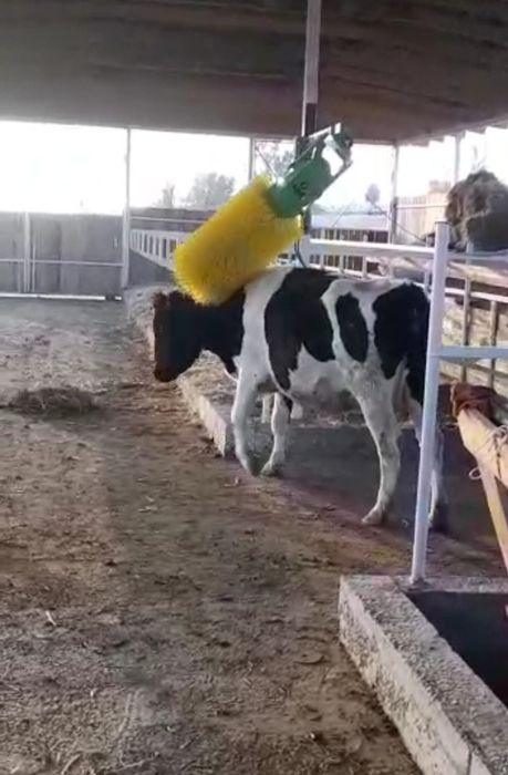 Щетка чесалка для Коров