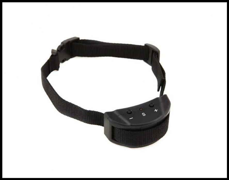 zgarda electrica antilatrat