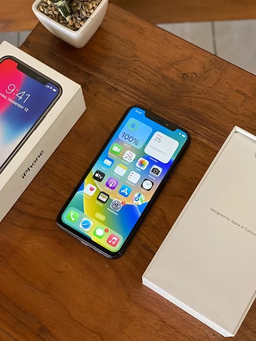iPhone X 256/100