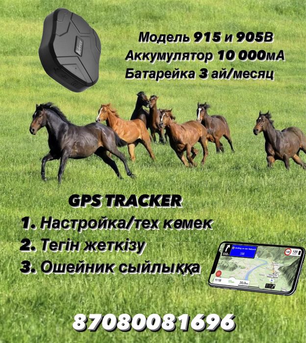 ЖПС трекер. GPS для лошадей и техники