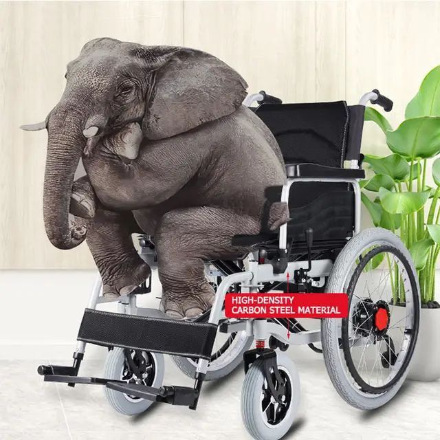 N. 13 Elektron kolyaska електрическая инвалидная коляска