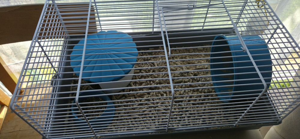 Căsuță pentru hamsteri echipata complet
