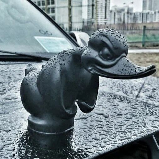 Здая утка на капот