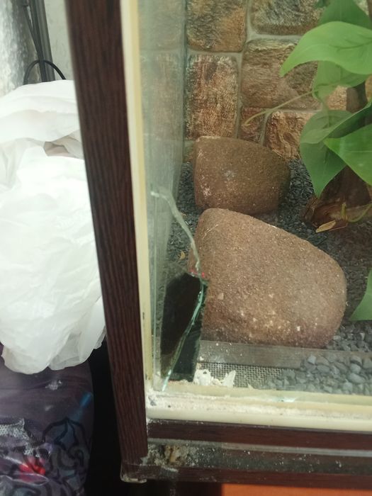 Продам терариум для рептилий