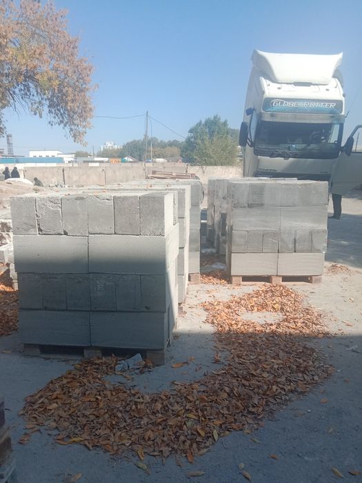 Газоблок 20*30*60