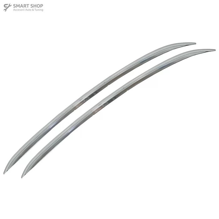 Bari Decorative Longitudinale Plafon BMW X6 F16 (2015-2019) Aluminiu