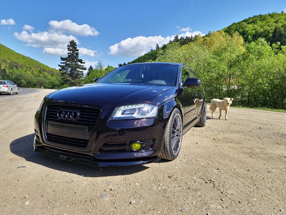 Audi a3 8p 1.6 tdi