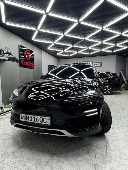 Byd Chempion Qora Toza 2024