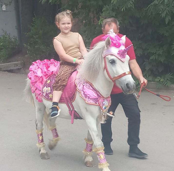 Белая Пони на Детский Праздник