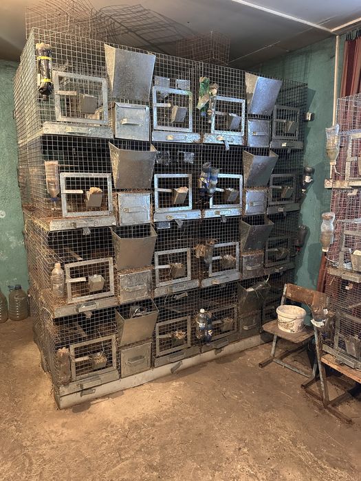 Продам клетки для животных