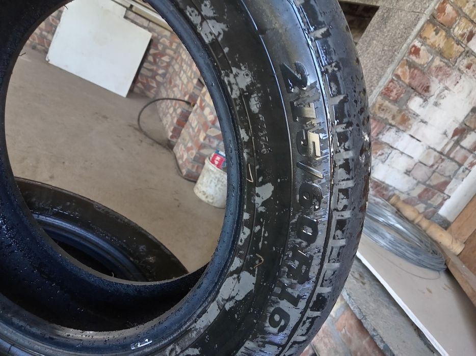 Коблыт шин летный