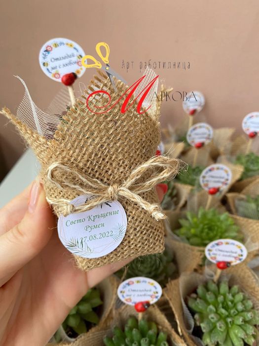 Сукуленти,подаръци за гости,кръщене,подаръци за гостите,подаръци цветя