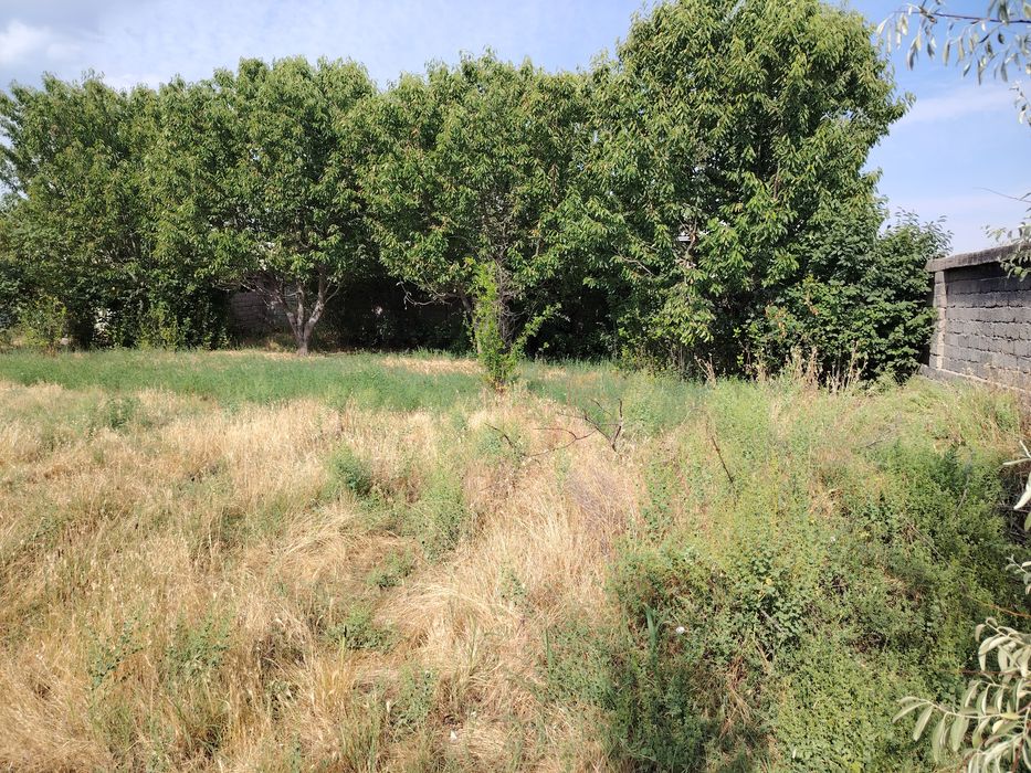 Янгийул тумандан ер сотилади 5 сотих