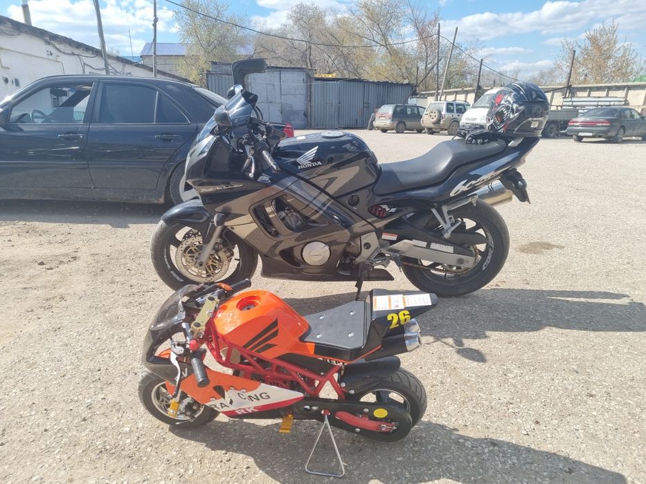 Минимотоцикл в стиле Ducati от 3 лет до 90 кг