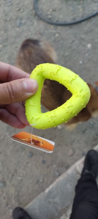 ошейник поводок для собаки