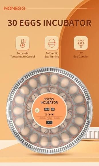 Продавам нов дигитален инкубатор за яйца с автоматично обръщане