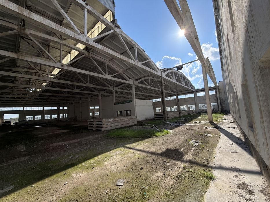 Помишения  60*60