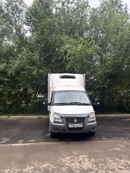 Газел Реф, Рефрежатор