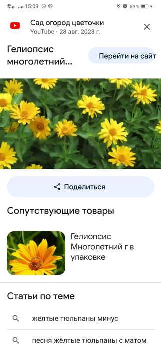 Продам цветы  многолетники