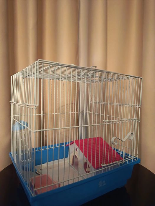 Vând cușcă hamster