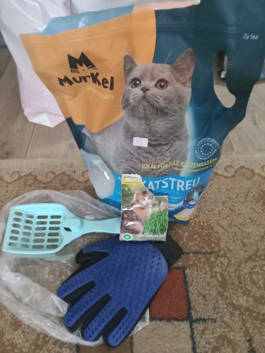 Всё для кота срочно сегодня