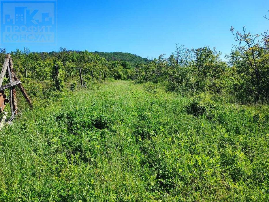 Парцел в с. Шереметя, м-т "Кладенче"